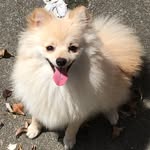 Maya - @maya_luke_spitz - Instagram