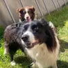 maya.luke - @maya.luke - TikTok