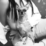 Maya🐶💜 - @maya_macias1330 - Instagram