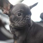 Maya Angelou & Malcolm Little - @mayaandmalcolm - Instagram