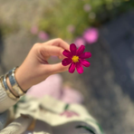 Maya Malik - Facebook