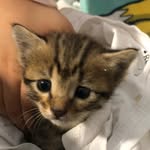 mayamaman - @mayamaman9 - Instagram