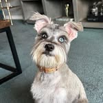Maya Mathis - @the_mini_maya - Instagram