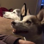 @maya.and.niko.mcclain - Instagram