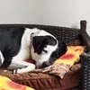 Maya - @maya.muldrow - TikTok
