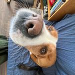 Maya Pearson - @mayainmoments - Instagram
