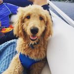 Maya Kipf-Poole - @mayathegoodestgirl - Instagram
