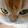 Maya Ramos - @mayapramos - TikTok