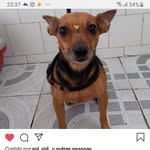 Maya Ramos - @maya.ramos.pet - Instagram