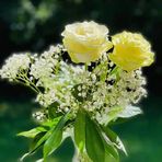 Maya Roy - Facebook