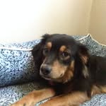 Maya Sophia Sampson - @69141noname - Instagram