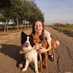 מאיה שורץ - @maya_schwartzz - Instagram