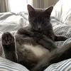maya - @maya.shaw2 - TikTok