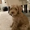 Maya_shine234 - @maya_shine234 - TikTok