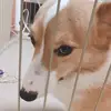 しん - @mayashin.74 - TikTok