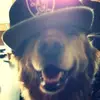 maya - @mayashukla._ - TikTok