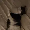 maya - @maya.smith1 - TikTok