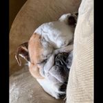 Maya Spitzer - @spitzer791 - Instagram