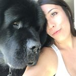Maya Sullivan - @topdogcaninecompanions - Instagram
