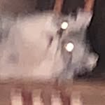 Moya - @maya_vanceas - Instagram