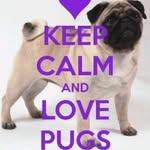 maya wagner - @mayas_mom_123456789019384 - Instagram
