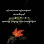 Ma War - Facebook