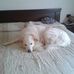 Maya Willis - Facebook