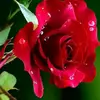 Mayank khare - @user757746403436542 - TikTok