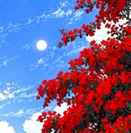 Mayar Mohamed - Facebook