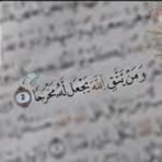 Mayar Mohamed - Facebook