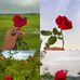 Mayda Alvarez - Facebook