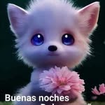 Mayda Bravo Quesada - @maydabravoquesada - Instagram