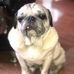 Mayda Hernandez - Facebook