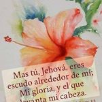 Mayda Velez - @mayda.velez.54 - Instagram