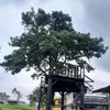 Maydelin perez - @maydelin.perez51 - TikTok