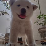 Carlos González - @puente.mayela - Instagram
