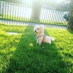 Mayela Puentes - @mayelapuentes - Instagram