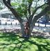 Mayela Marin Sandoval - Facebook