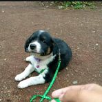 Mayla Sanchez Dumanacal - Facebook