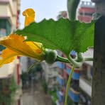 Maymuna Hasan - Facebook