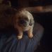 Maynard Schmidt - Facebook