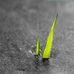 Maynard Walker - Facebook