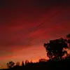 Lopez maynor - @maynor.lopez67 - TikTok