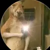 Maynor Martinez - @maynor.martinez898 - TikTok