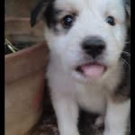 Tayron Perez - @maynor_rivera__ - Instagram