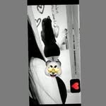 Mayo García - @yos_garcia0202 - Instagram
