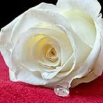Mayra Abarca - Facebook