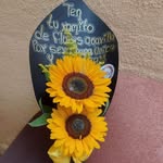 Mayra Argueta - @mayraargueta967 - Instagram