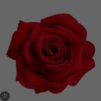 Mayra Becerril - Facebook