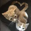mayrabell925 - @mayrabell925 - TikTok